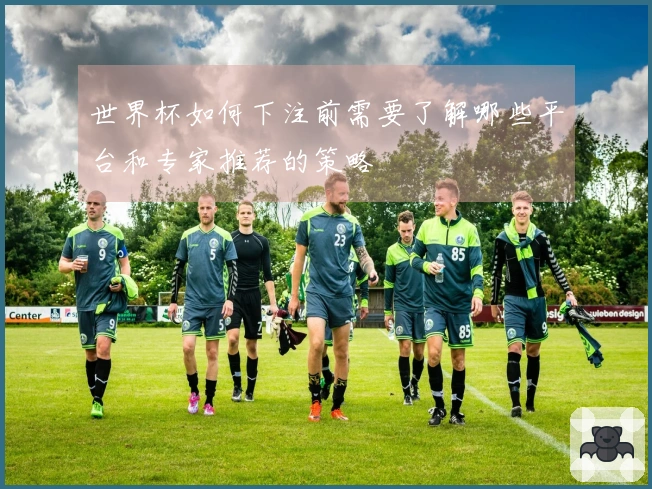 世界杯如何下注前需要了解哪些平台和专家推荐的策略