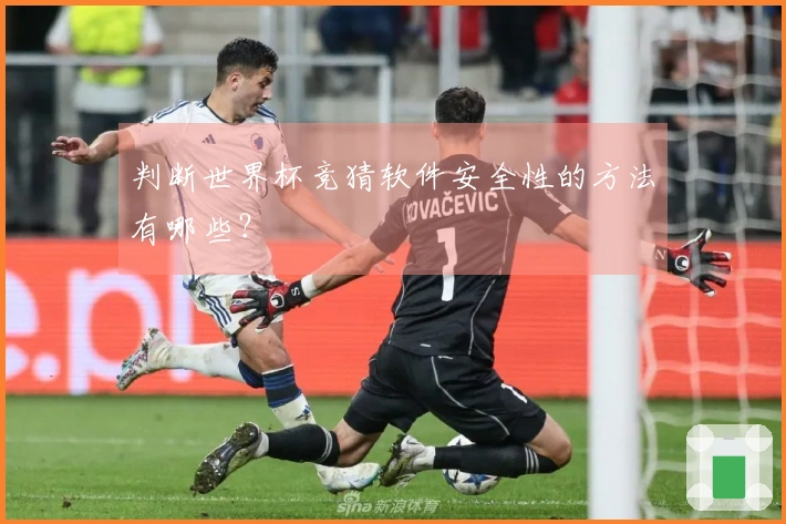 判断世界杯竞猜软件安全性的方法有哪些？
