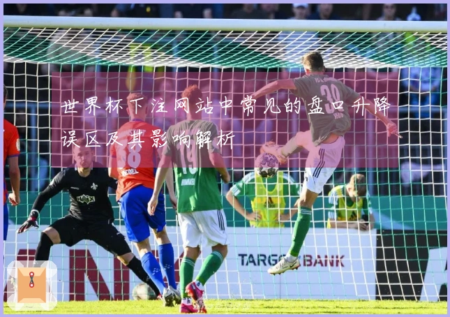 世界杯下注网站中常见的盘口升降误区及其影响解析