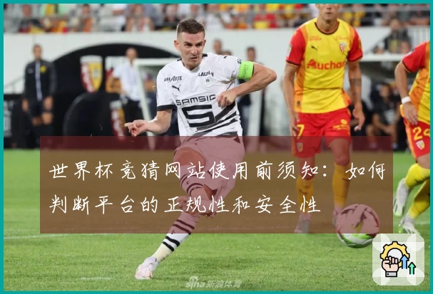 世界杯竞猜网站使用前须知：如何判断平台的正规性和安全性