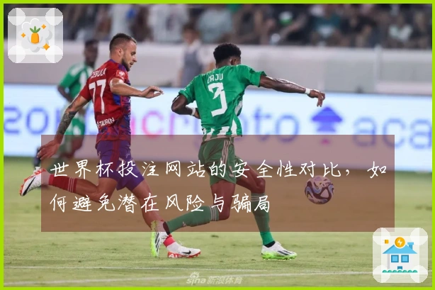 世界杯投注网站的安全性对比，如何避免潜在风险与骗局