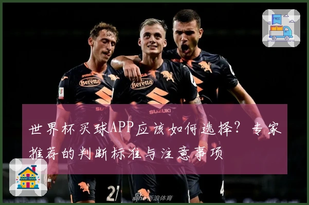 世界杯买球APP应该如何选择？专家推荐的判断标准与注意事项
