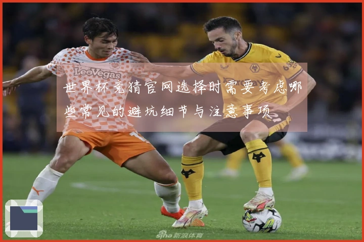 世界杯竞猜官网选择时需要考虑哪些常见的避坑细节与注意事项