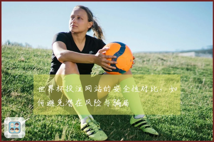 世界杯投注网站的安全性对比，如何避免潜在风险与骗局