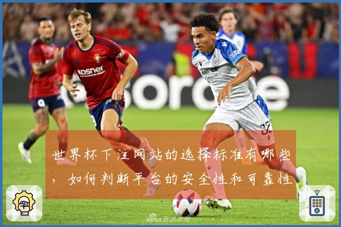 世界杯下注网站的选择标准有哪些，如何判断平台的安全性和可靠性？