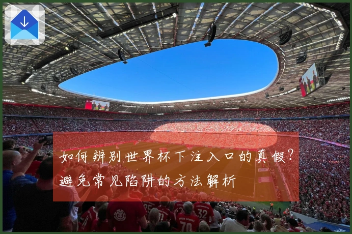 如何辨别世界杯下注入口的真假？避免常见陷阱的方法解析