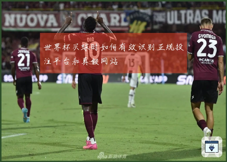 世界杯买球时如何有效识别正规投注平台和真假网站