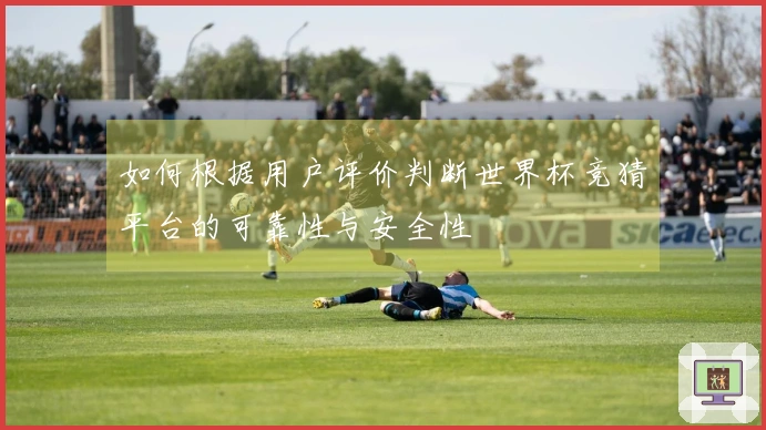 如何根据用户评价判断世界杯竞猜平台的可靠性与安全性