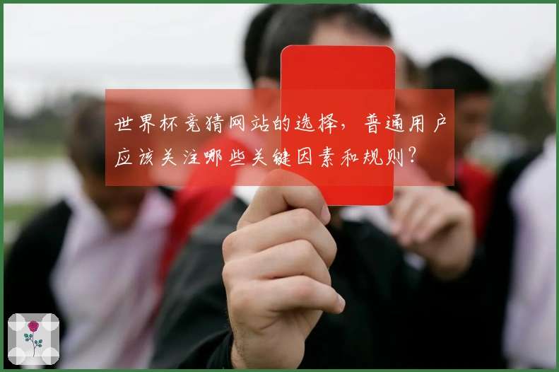 世界杯竞猜网站的选择，普通用户应该关注哪些关键因素和规则？