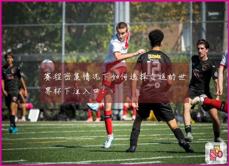赛程密集情况下如何选择合适的世界杯下注入口？