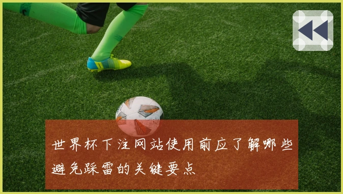 世界杯下注网站使用前应了解哪些避免踩雷的关键要点