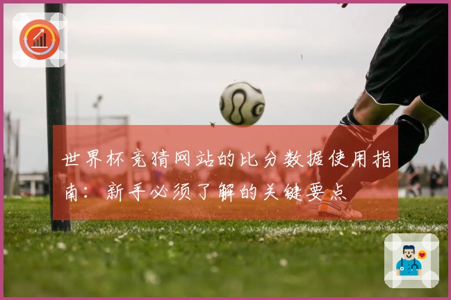 世界杯竞猜网站的比分数据使用指南：新手必须了解的关键要点
