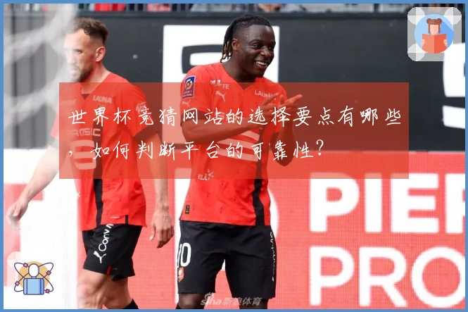 世界杯竞猜网站的选择要点有哪些，如何判断平台的可靠性？
