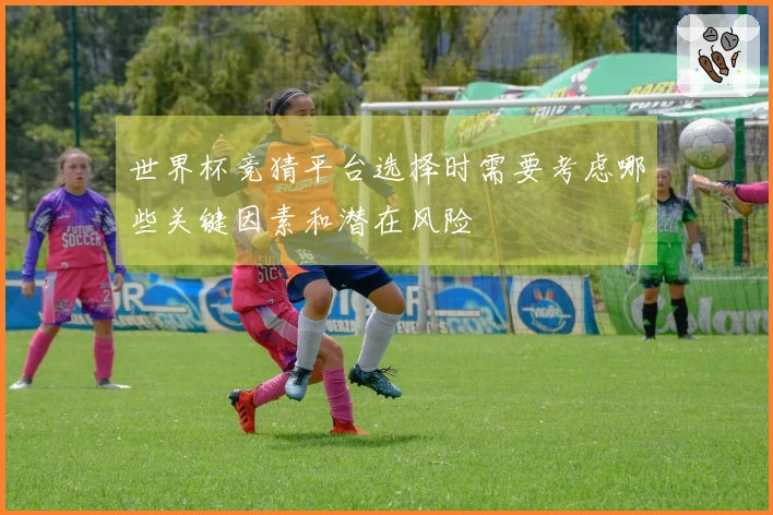 世界杯竞猜平台选择时需要考虑哪些关键因素和潜在风险
