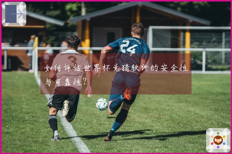 如何评估世界杯竞猜软件的安全性与可靠性？