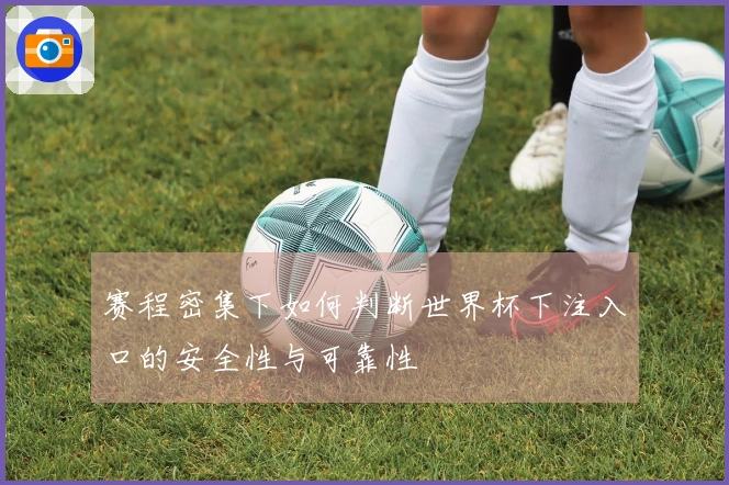 赛程密集下如何判断世界杯下注入口的安全性与可靠性