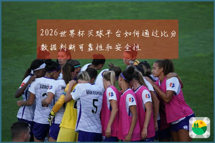 2026世界杯买球平台如何通过比分数据判断可靠性和安全性