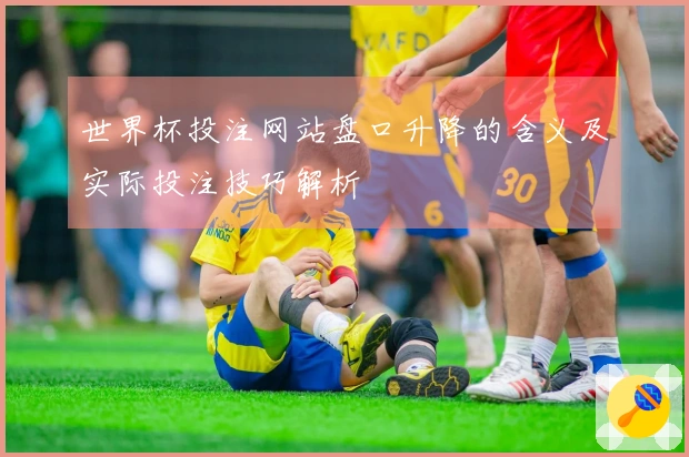 世界杯投注网站盘口升降的含义及实际投注技巧解析
