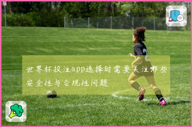 世界杯投注app选择时需要关注哪些安全性与合规性问题