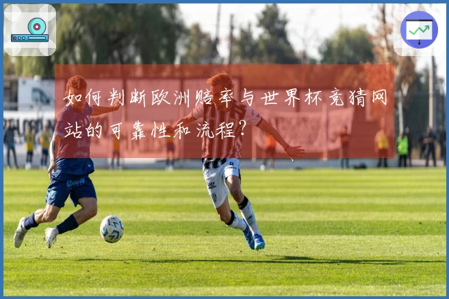 如何判断欧洲赔率与世界杯竞猜网站的可靠性和流程？