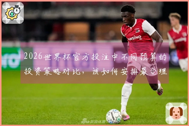 2026世界杯官方投注中不同预算的投资策略对比，该如何安排最合理？