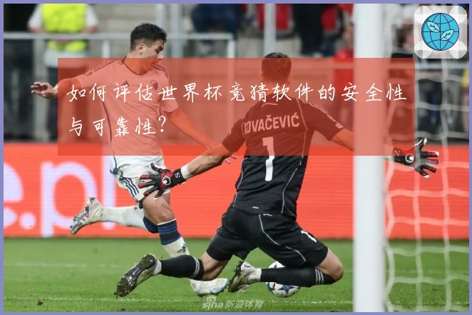 如何评估世界杯竞猜软件的安全性与可靠性？