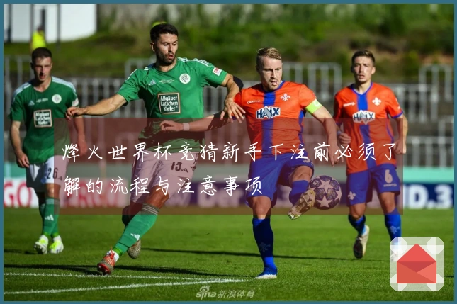 烽火世界杯竞猜新手下注前必须了解的流程与注意事项