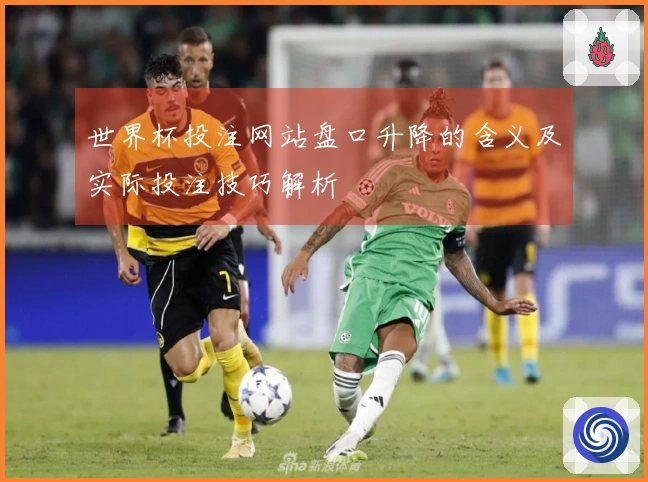 世界杯投注网站盘口升降的含义及实际投注技巧解析