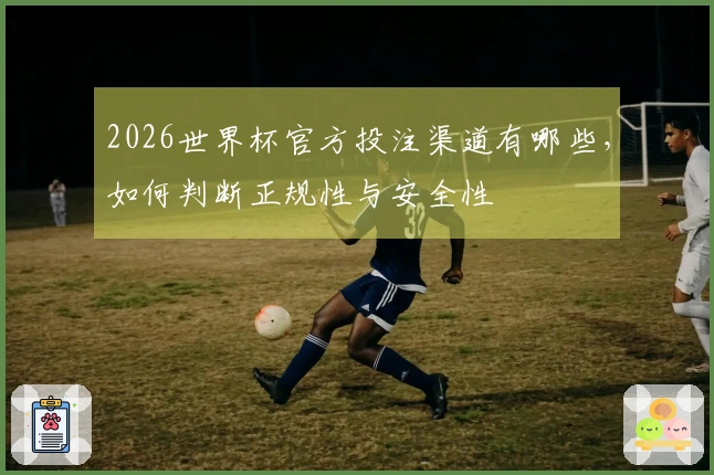 2026世界杯官方投注渠道有哪些，如何判断正规性与安全性